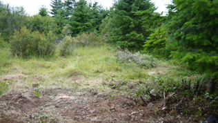 Reclaimed and Restored Shooting Range Land