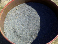 Competition's Lead - Click for Closeup